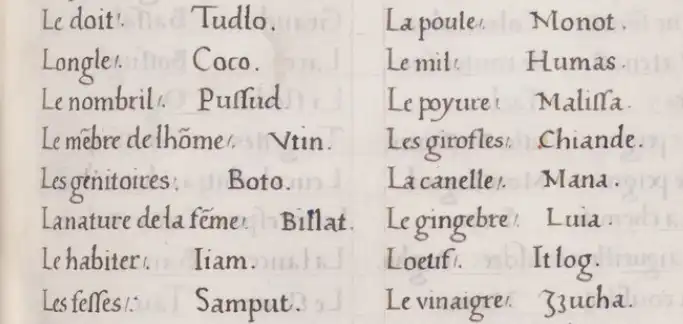 Some Visayan words that Pigafetta recorded. Many are still in use today, like the ones referring to genitals.