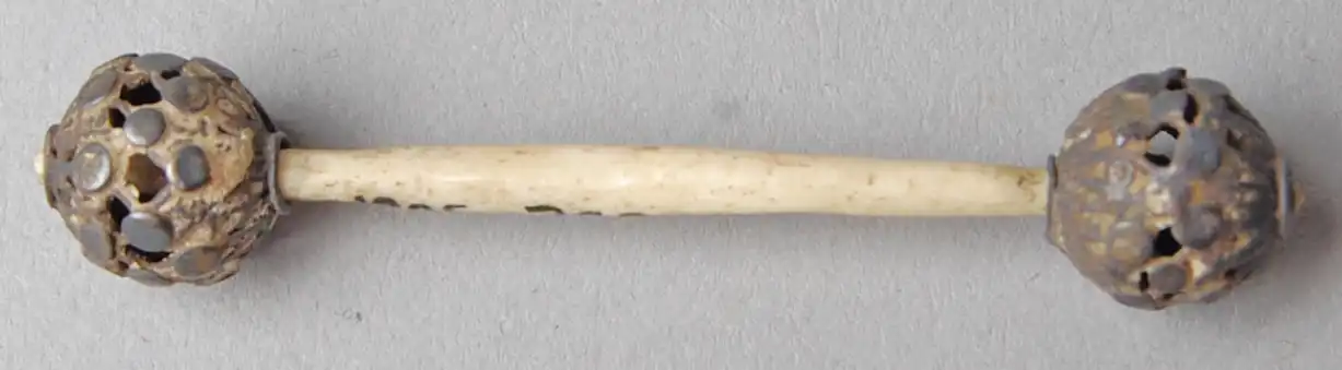A 19th century penis pin from Borneo locally known as ‘palang’. The penis piercings Pigafetta saw in 1521 probably looked like this. Image from the British Museum.